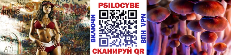 mega как войти  Азов  Галлюциногенные грибы Magic Shrooms 